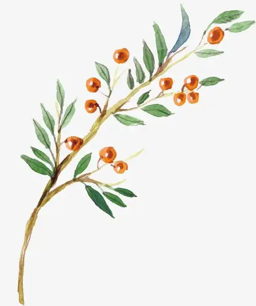 精美矢量水彩花卉装饰素材免费下载_觅元素