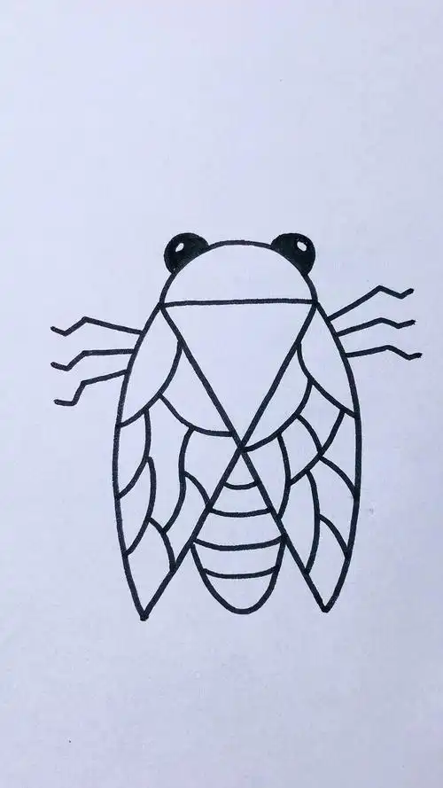 简单画#知了简笔画