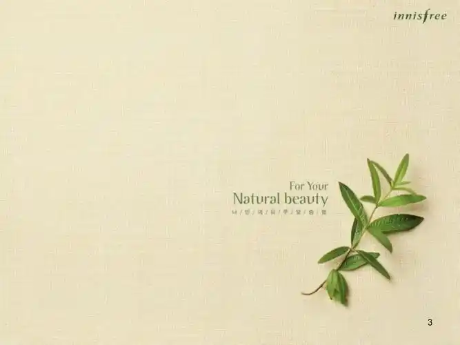 淡雅清新适合教育类背景ppt留着自己以后用_第3页