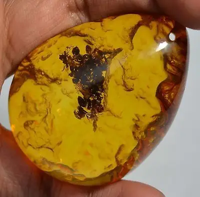 旧蚂蚁琥珀160克拉价值多少?