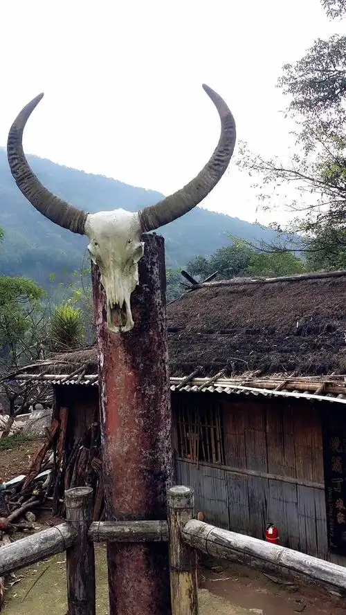 中国最后一个原始部落一一一一沧源翁丁