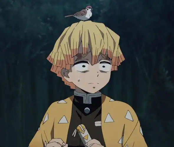 有没有我妻善逸的头像