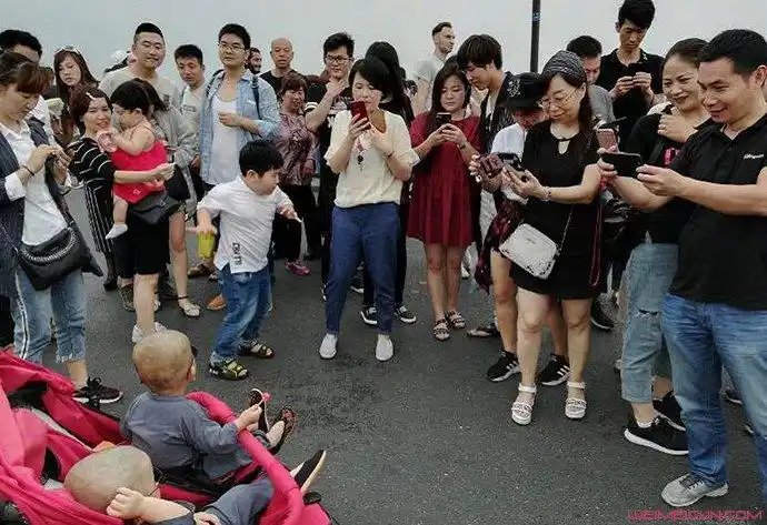 众人围观双胞胎