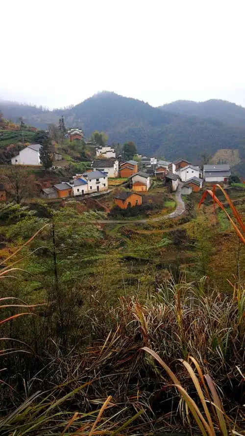 徽州传统村落探寻之十六～休宁金龙山村