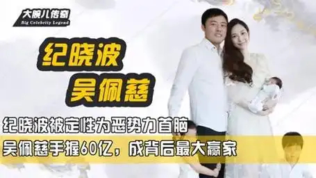 纪晓波被定性为恶势力首脑,吴佩慈手握60亿,成背后最大赢家