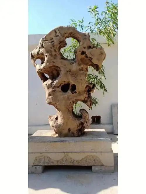 一方庭院老太湖石大户人家必备