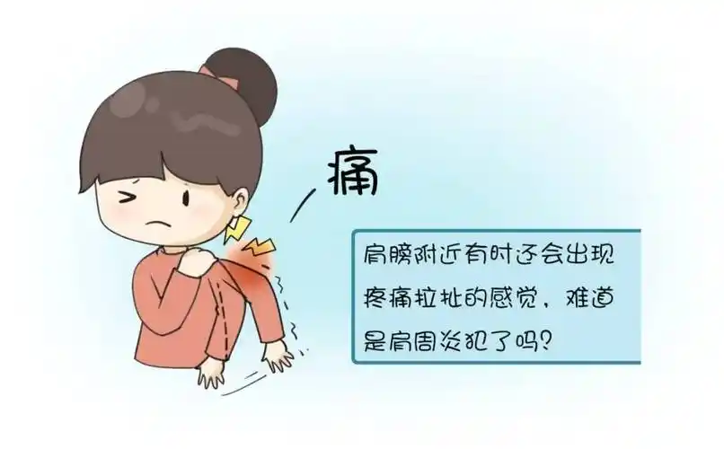 肩膀疼痛伸不开,当心越拖越严重!