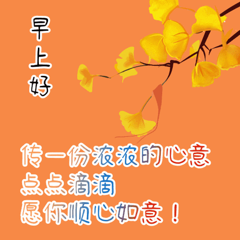 最新问候早上好漂亮表情动态图,最美早安问候语动态图片