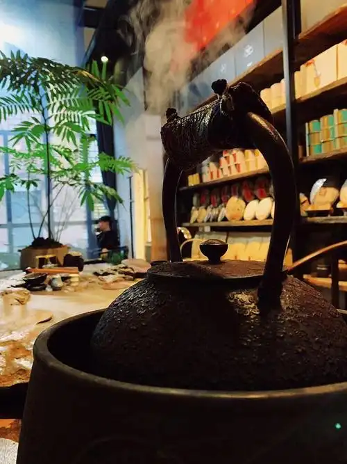 现在,煮茶除了意境,煮茶,是指茶入水烹煮而饮,古人的茶里有烟霞和涛声