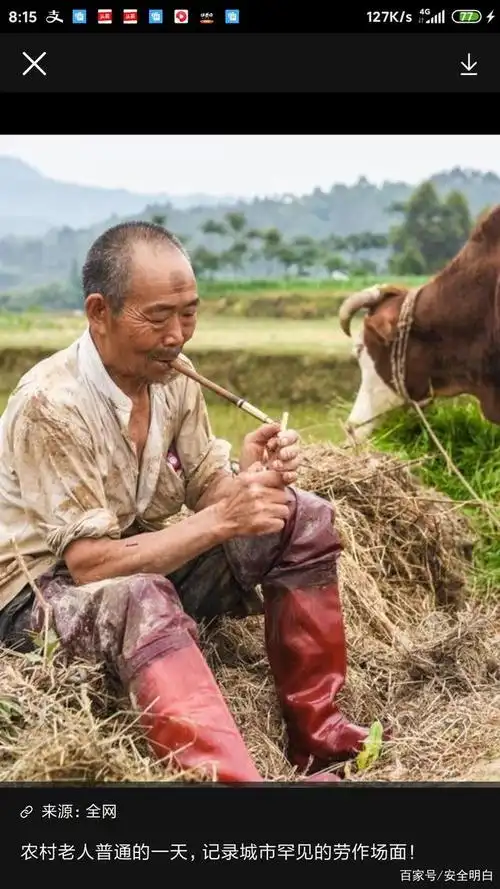 现今,为什么新一代农民不选择种地?