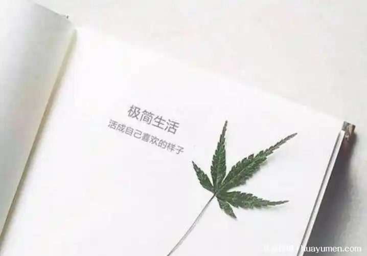 简单生活心态的句子平平淡淡最真实的随心短句67