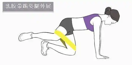 臀中肌是关键!_髋关节_动作_训练方法