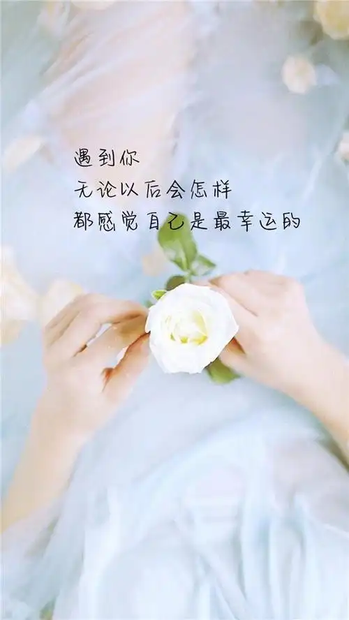 清新唯美创意文字图片手机壁纸