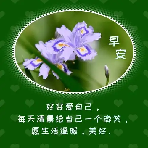 自制早安图集锦 - 美篇