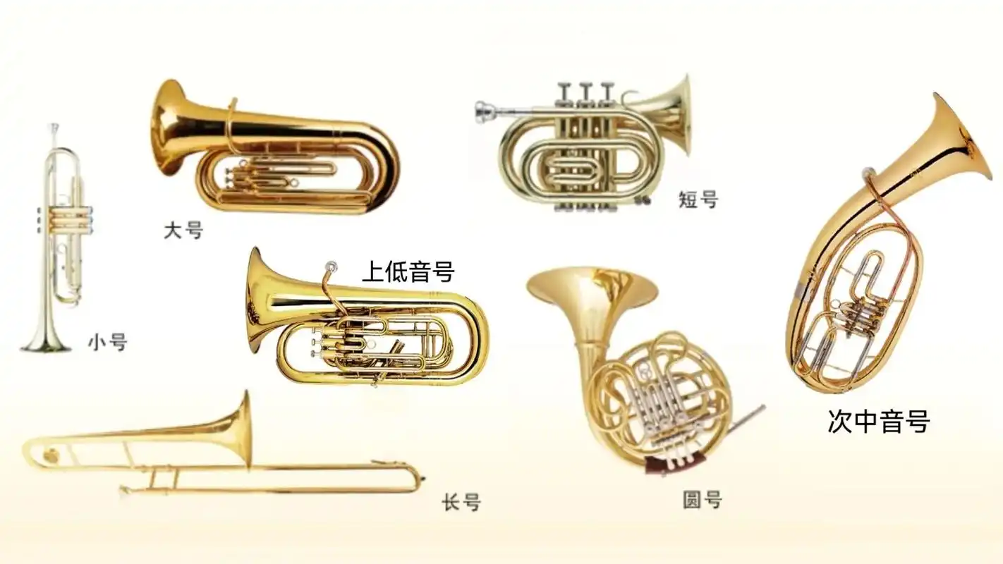 铜管乐,木管乐,弦乐,打击乐,色彩乐器组. - 抖音