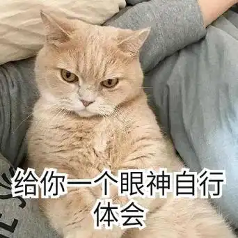 给你一个眼神自行体会(猫咪)_猫咪_体会_眼神_自行_一个表情