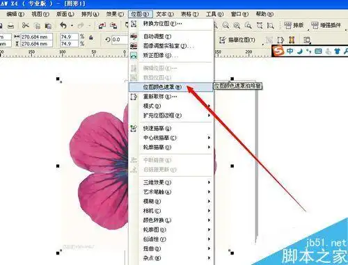 cdr如何快速去掉图像的白色背景颜色?