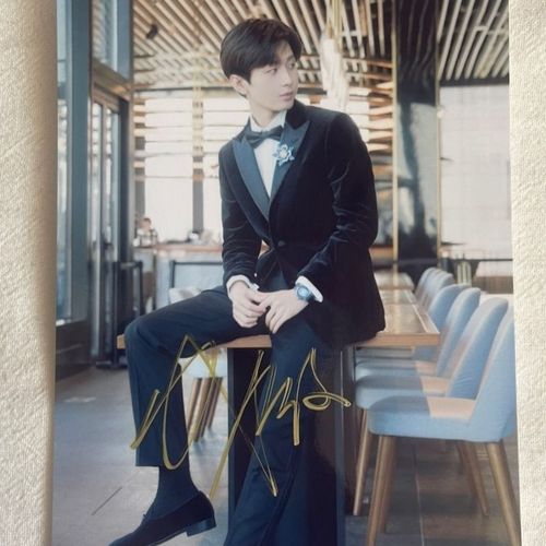 成毅亲笔签名照亲签保真活动现粉场丝应援周边产品正品收藏无印刷