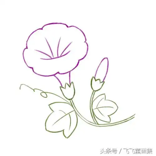 如何画小喇叭简笔画,简笔画的喇叭怎么画(画一朵美丽的牵牛花)_犇涌向