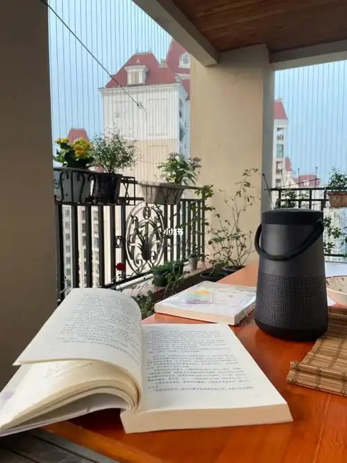 不冷不热的天,坐在阳台喝茶看书听音乐,真的很舒服