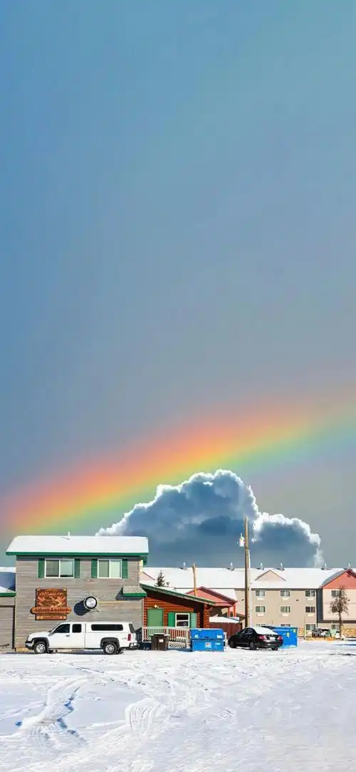 壁纸 桌面 660_1431 竖版 竖屏 手机