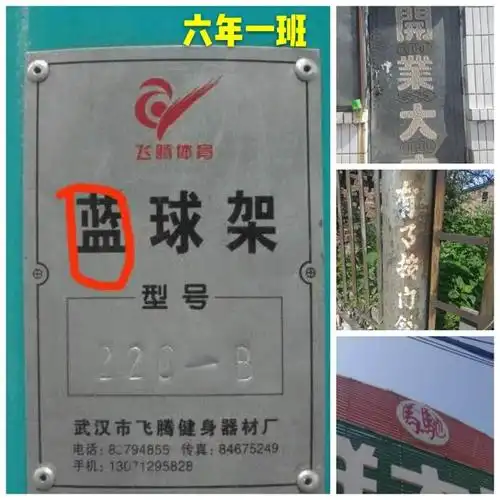 组织学生对校园,社区内主干道上的标牌,店牌,指示牌,广告牌和地名