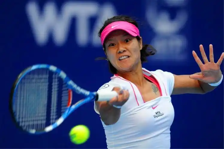 李娜个人资料(她是国家培养的网球天才) - 散下步