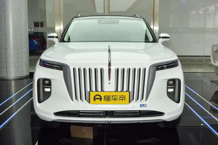 新款红旗e-hs9上市,纯电动大型suv,配置升级,售价58.98万元起_懂车帝