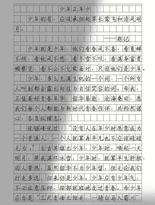 优秀作文素材少年正年少