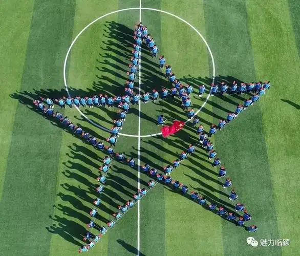 临颍:这所学校,摆出"五角星"造型,迎接崭新的2020年