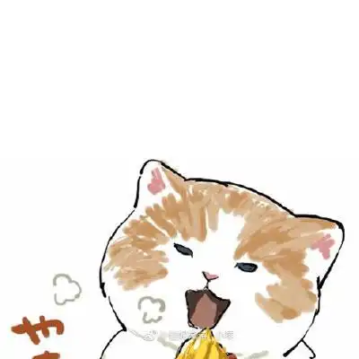 呆萌猫咪图片卡通头像漂亮猫咪图片大全可爱