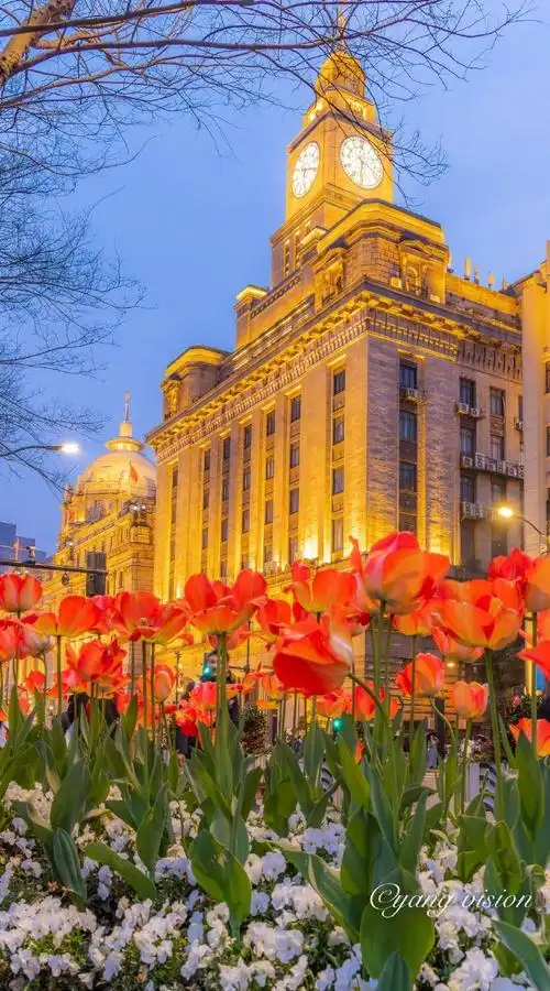 春游季##城市巡游记##100种祖国的美##上海