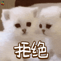 拒绝可爱狗狗soogifsoogif出品gif动图_动态图_表情包下载_soogif