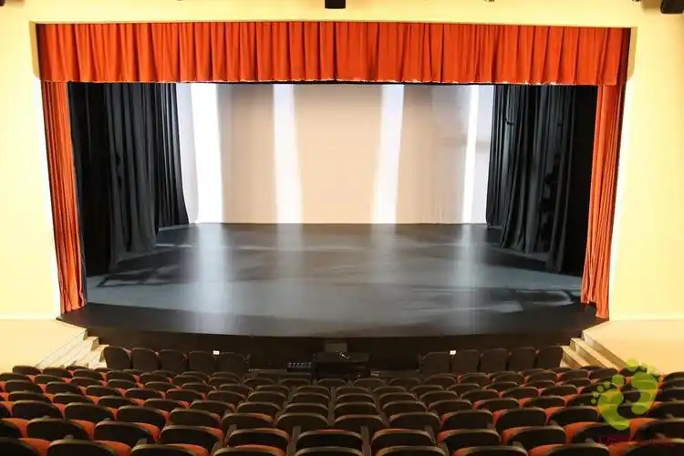 黑色舞台地胶进口型