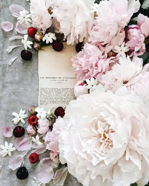 荼靡- 堆糖,美图壁纸兴趣社区