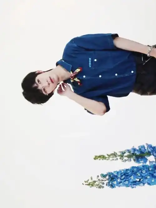 少年与花a贺峻霖