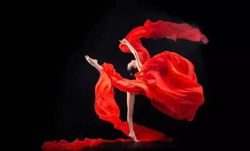 一个人的智商可能决定了她是否能够走上成功的道路但一个人的情商却将