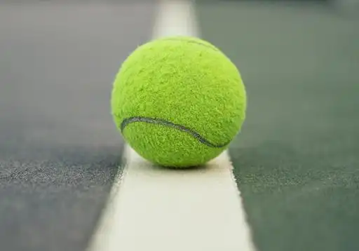 美媒:打网球为何导致职业选手如此痛苦