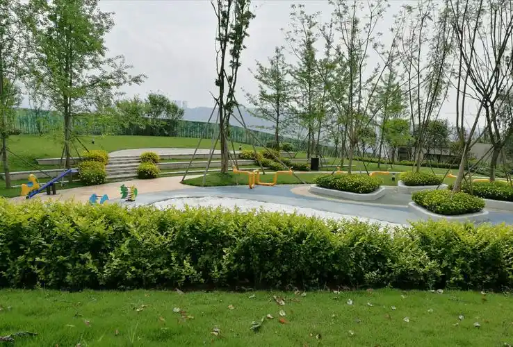 北碚绿化添新颜,城市处处似花园