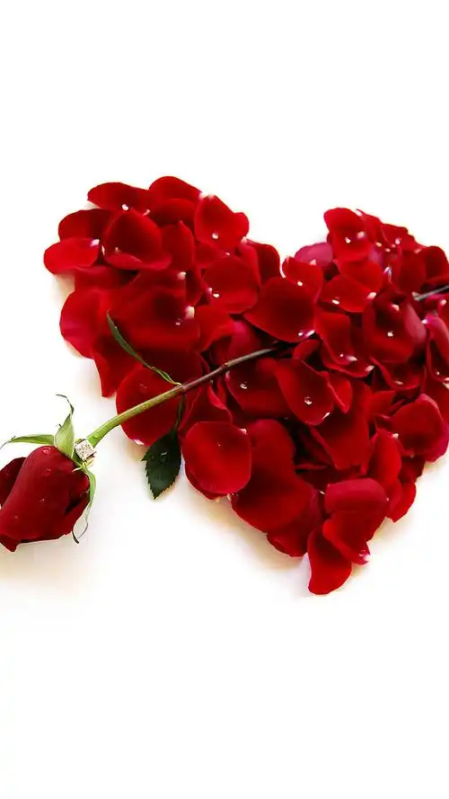 浪漫心形玫瑰花矢量装饰背景玫瑰花桃心情人节装饰桃心玫瑰花素材手绘