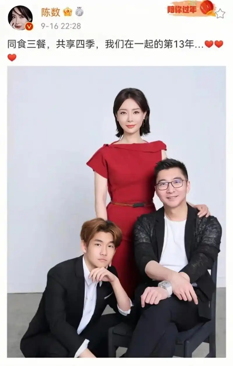 回顾演员陈数:34岁嫁2婚男,一生不要自己的孩子,当后妈也幸福