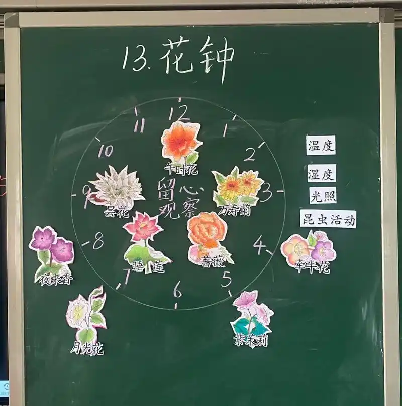 三下语文第13课《花钟》公开课板书设计 #公开课# #小学语文