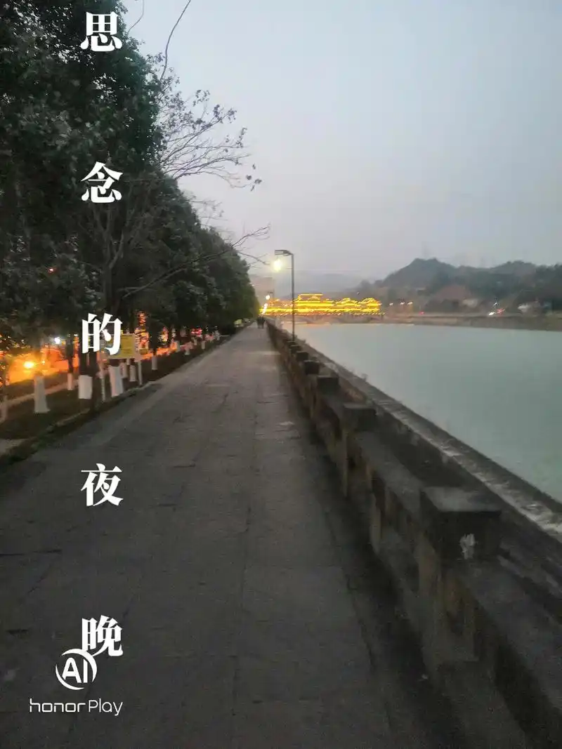 一首非常好听的经典老歌《思念的夜晚》倾诉着人世间有情人彼此的