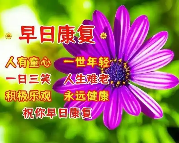 2,病人康复的祝福语1 1工作诚可贵,健康价更高!好好休息,早日康复!