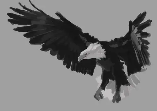 老鹰|插画|插画习作|堕落1988 - 原创作品 - 站酷 (zcool)