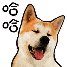 哈哈狗狗伸舌头闭眼gif动图_动态图_表情包下载_soogif