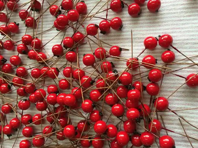 仿真颖果 红色颖果 蓝莓 浆果 花卉 绿色果实植物 diy 小水果青岛