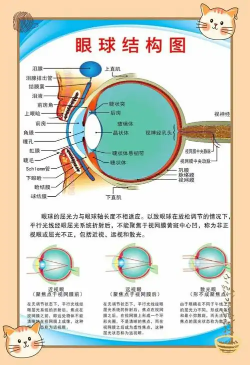 迪乐·澳瑞特幼儿园第四届成长夏令营——《爱尔眼科&爱的礼物-卡子》