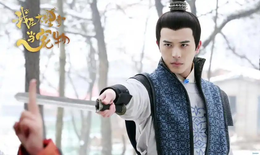 你现在才知道的霸道总裁?原来徐开骋出演了这么多部电视剧