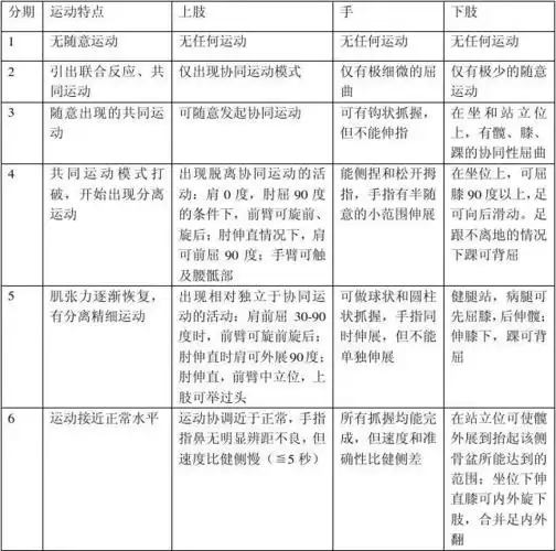 brunnstrom运动功能恢复6级分期